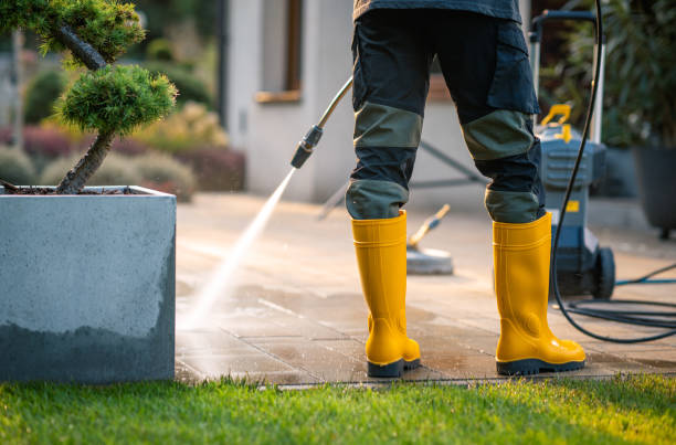 Best Best Pressure Washing Companies  in Fort Davis, TX